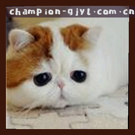 李婷